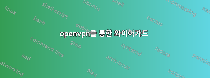 openvpn을 통한 와이어가드