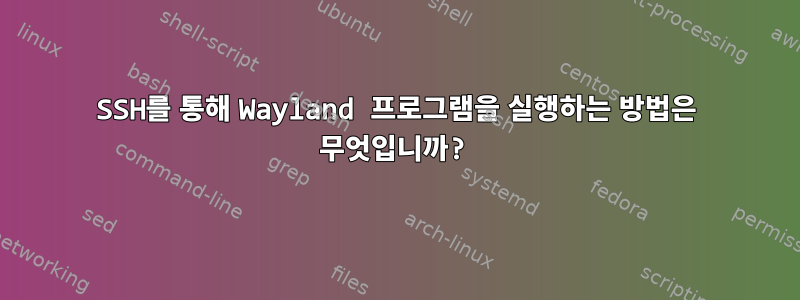 SSH를 통해 Wayland 프로그램을 실행하는 방법은 무엇입니까?