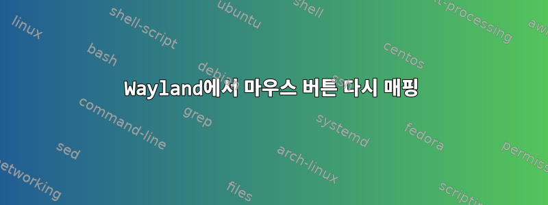 Wayland에서 마우스 버튼 다시 매핑