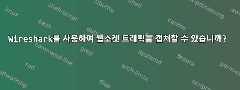 Wireshark를 사용하여 웹소켓 트래픽을 캡처할 수 있습니까?