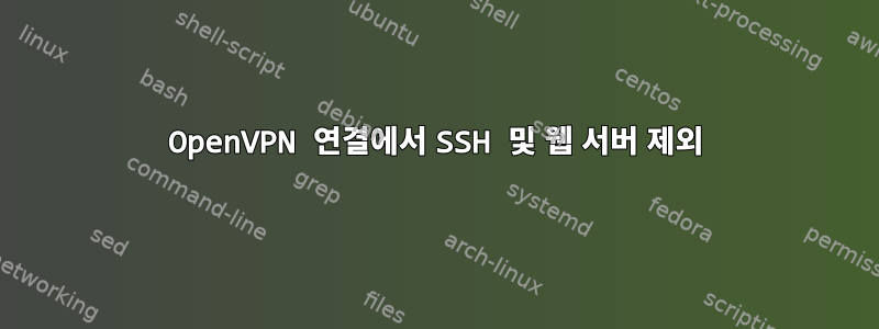 OpenVPN 연결에서 SSH 및 웹 서버 제외