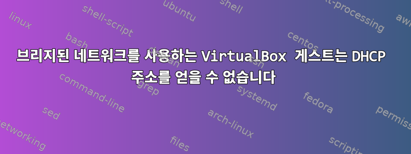 브리지된 네트워크를 사용하는 VirtualBox 게스트는 DHCP 주소를 얻을 수 없습니다