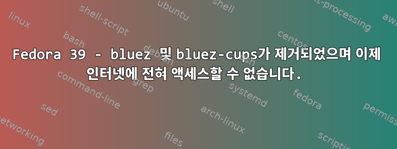 Fedora 39 - bluez 및 bluez-cups가 제거되었으며 이제 인터넷에 전혀 액세스할 수 없습니다.