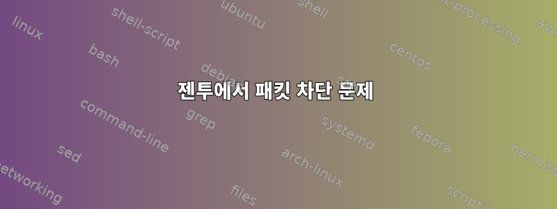 젠투에서 패킷 차단 문제