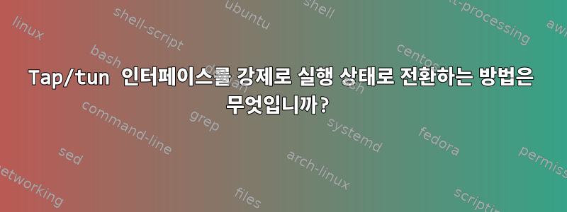 Tap/tun 인터페이스를 강제로 실행 상태로 전환하는 방법은 무엇입니까?