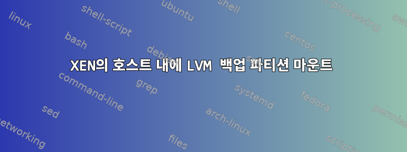 XEN의 호스트 내에 LVM 백업 파티션 마운트