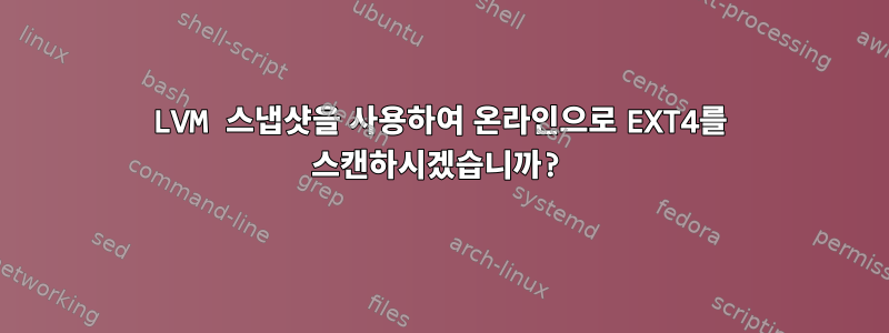 LVM 스냅샷을 사용하여 온라인으로 EXT4를 스캔하시겠습니까?