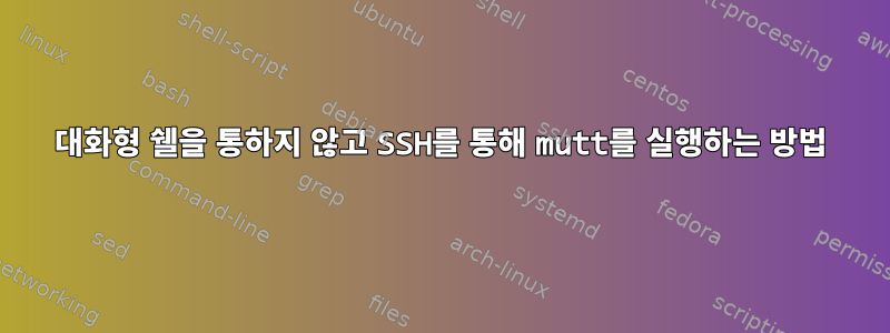 대화형 쉘을 통하지 않고 SSH를 통해 mutt를 실행하는 방법