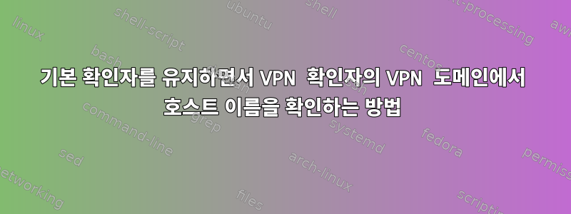 기본 확인자를 유지하면서 VPN 확인자의 VPN 도메인에서 호스트 이름을 확인하는 방법