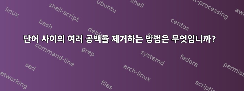 단어 사이의 여러 공백을 제거하는 방법은 무엇입니까?