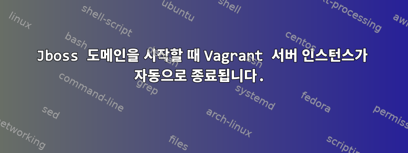 Jboss 도메인을 시작할 때 Vagrant 서버 인스턴스가 자동으로 종료됩니다.