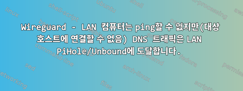 Wireguard - LAN 컴퓨터는 ping할 수 없지만(대상 호스트에 연결할 수 없음) DNS 트래픽은 LAN PiHole/Unbound에 도달합니다.