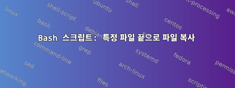 Bash 스크립트: 특정 파일 끝으로 파일 복사