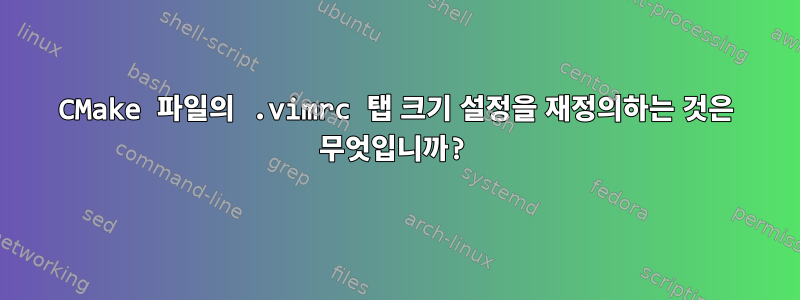 CMake 파일의 .vimrc 탭 크기 설정을 재정의하는 것은 무엇입니까?