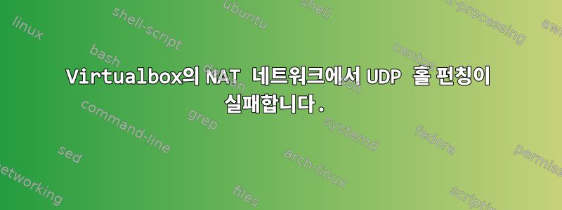 Virtualbox의 NAT 네트워크에서 UDP 홀 펀칭이 실패합니다.