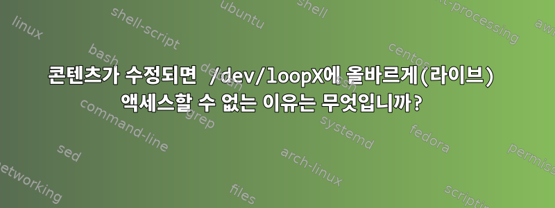 콘텐츠가 수정되면 /dev/loopX에 올바르게(라이브) 액세스할 수 없는 이유는 무엇입니까?