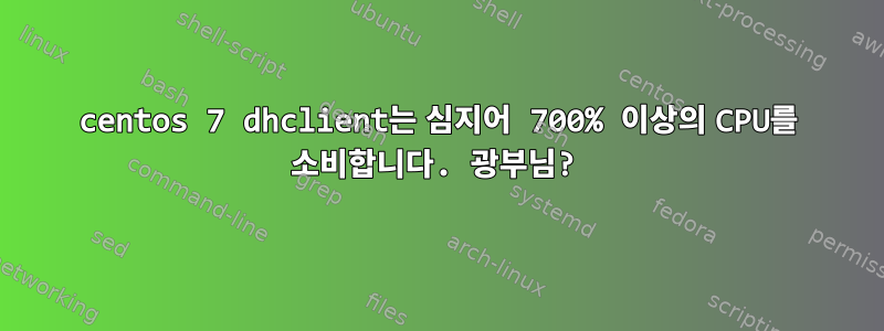 centos 7 dhclient는 심지어 700% 이상의 CPU를 소비합니다. 광부님?