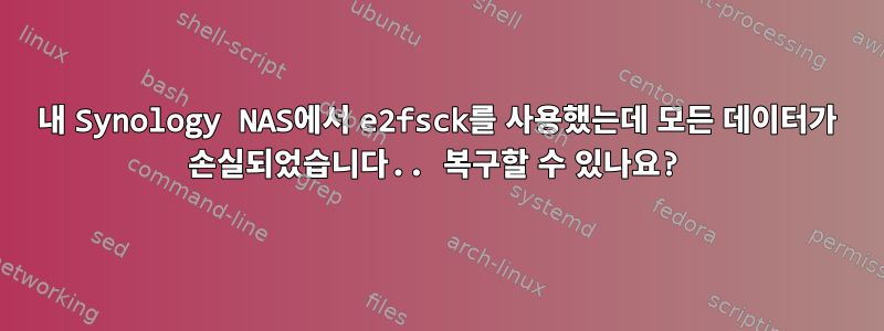 내 Synology NAS에서 e2fsck를 사용했는데 모든 데이터가 손실되었습니다.. 복구할 수 있나요?