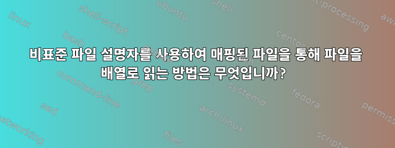 비표준 파일 설명자를 사용하여 매핑된 파일을 통해 파일을 배열로 읽는 방법은 무엇입니까?