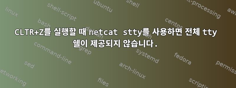 CLTR+Z를 실행할 때 netcat stty를 사용하면 전체 tty 쉘이 제공되지 않습니다.