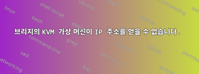 브리지의 KVM 가상 머신이 IP 주소를 얻을 수 없습니다.