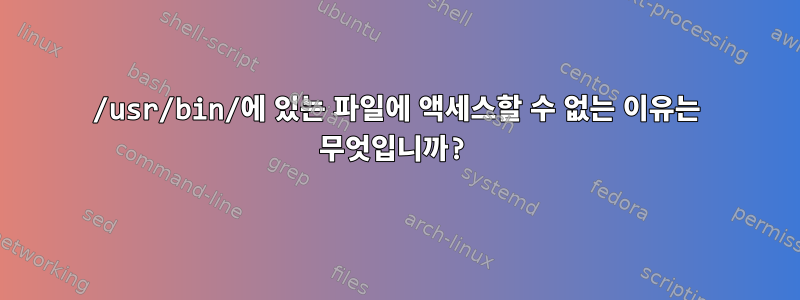 /usr/bin/에 있는 파일에 액세스할 수 없는 이유는 무엇입니까?