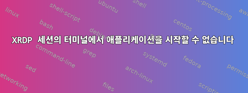 XRDP 세션의 터미널에서 애플리케이션을 시작할 수 없습니다