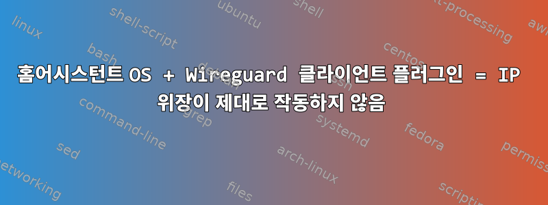 홈어시스턴트 OS + Wireguard 클라이언트 플러그인 = IP 위장이 제대로 작동하지 않음