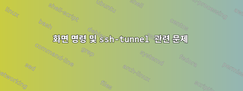 화면 명령 및 ssh-tunnel 관련 문제