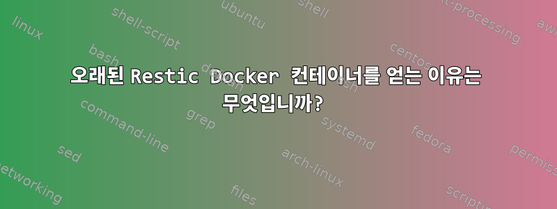 오래된 Restic Docker 컨테이너를 얻는 이유는 무엇입니까?