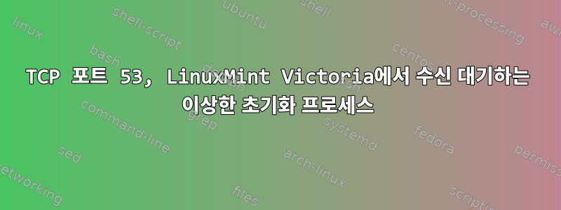 TCP 포트 53, LinuxMint Victoria에서 수신 대기하는 이상한 초기화 프로세스