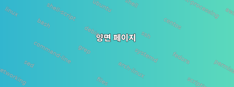 양면 페이지