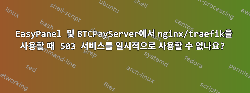 EasyPanel 및 BTCPayServer에서 nginx/traefik을 사용할 때 503 서비스를 일시적으로 사용할 수 없나요?