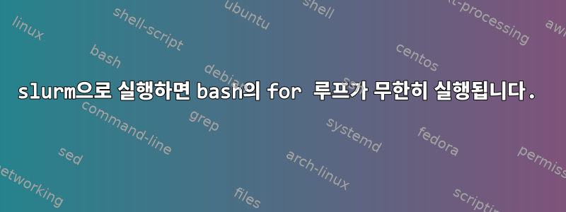 slurm으로 실행하면 bash의 for 루프가 무한히 실행됩니다.