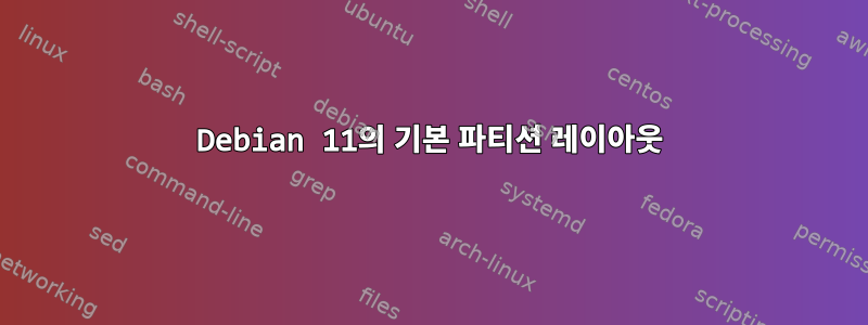 Debian 11의 기본 파티션 레이아웃