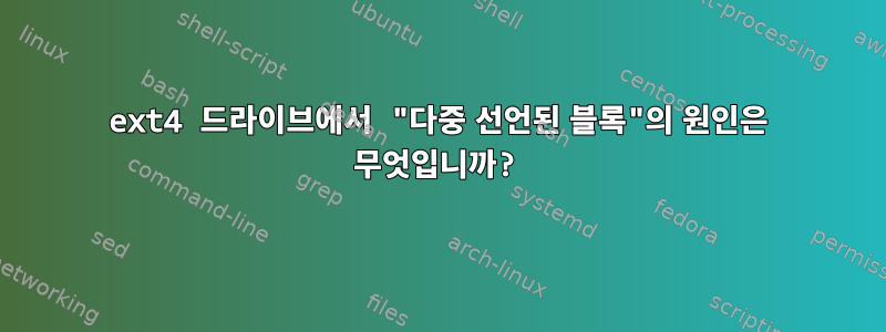 ext4 드라이브에서 "다중 선언된 블록"의 원인은 무엇입니까?