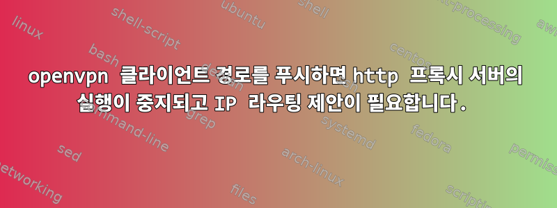 openvpn 클라이언트 경로를 푸시하면 http 프록시 서버의 실행이 중지되고 IP 라우팅 제안이 필요합니다.