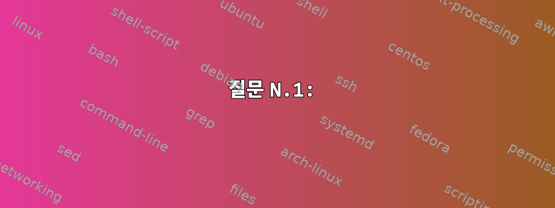 질문 N.1: