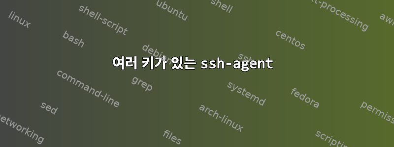 여러 키가 있는 ssh-agent