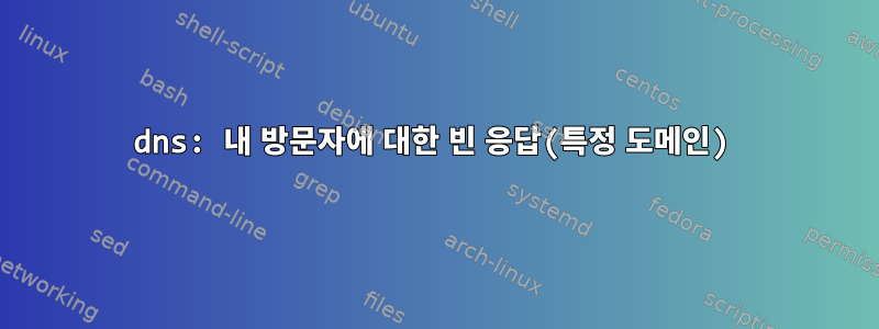 dns: 내 방문자에 대한 빈 응답(특정 도메인)