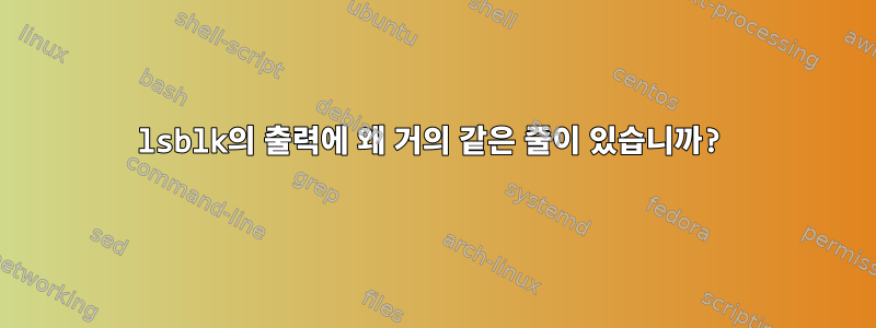 lsblk의 출력에 왜 거의 같은 줄이 있습니까?