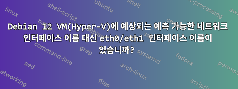 Debian 12 VM(Hyper-V)에 예상되는 예측 가능한 네트워크 인터페이스 이름 대신 eth0/eth1 인터페이스 이름이 있습니까?