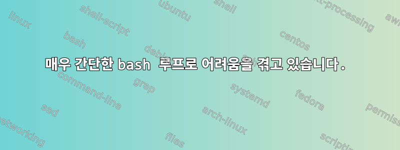 매우 간단한 bash 루프로 어려움을 겪고 있습니다.