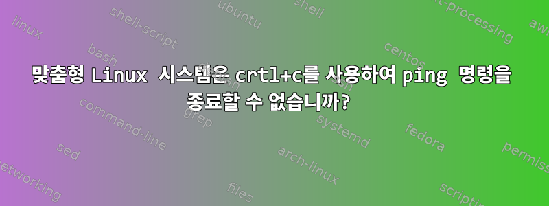 맞춤형 Linux 시스템은 crtl+c를 사용하여 ping 명령을 종료할 수 없습니까?