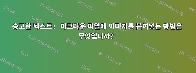 숭고한 텍스트: 마크다운 파일에 이미지를 붙여넣는 방법은 무엇입니까?