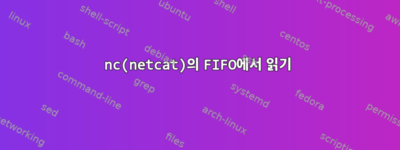 nc(netcat)의 FIFO에서 읽기