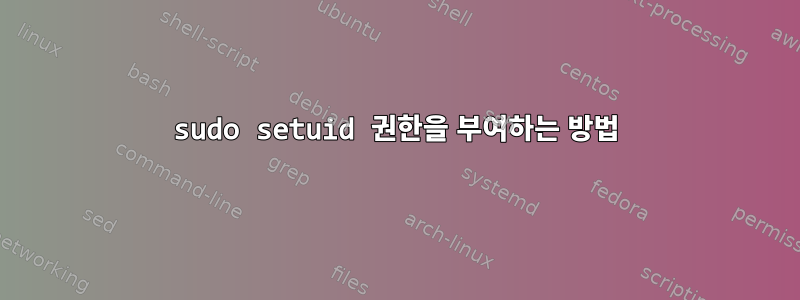 sudo setuid 권한을 부여하는 방법