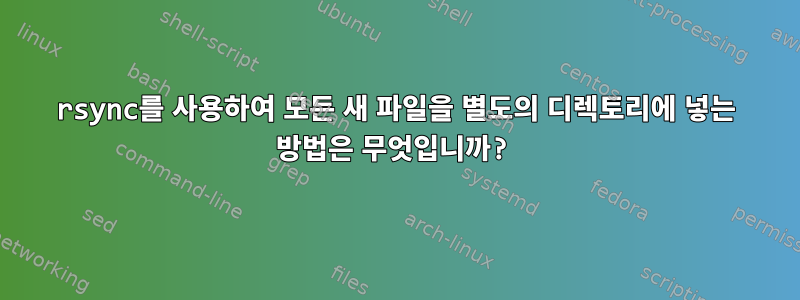 rsync를 사용하여 모든 새 파일을 별도의 디렉토리에 넣는 방법은 무엇입니까?