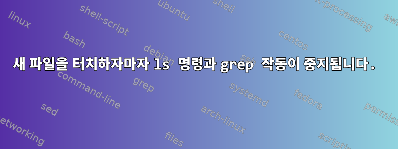 새 파일을 터치하자마자 ls 명령과 grep 작동이 중지됩니다.