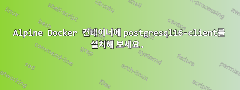 Alpine Docker 컨테이너에 postgresql16-client를 설치해 보세요.